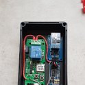 P01 (3)